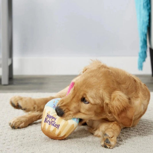 6 Benefits of Cute and Colorful Chew Toys for Your Pet
